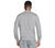 THE HOODLESS HOODIE GOWALK EV, LIGHT GREY