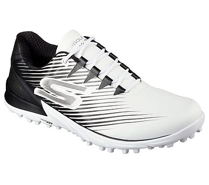 Buy Skechers GO GOLF 2 | Men