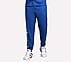 SKECHERS LIFESTYLE JOGGER, ROYAL/BLUE